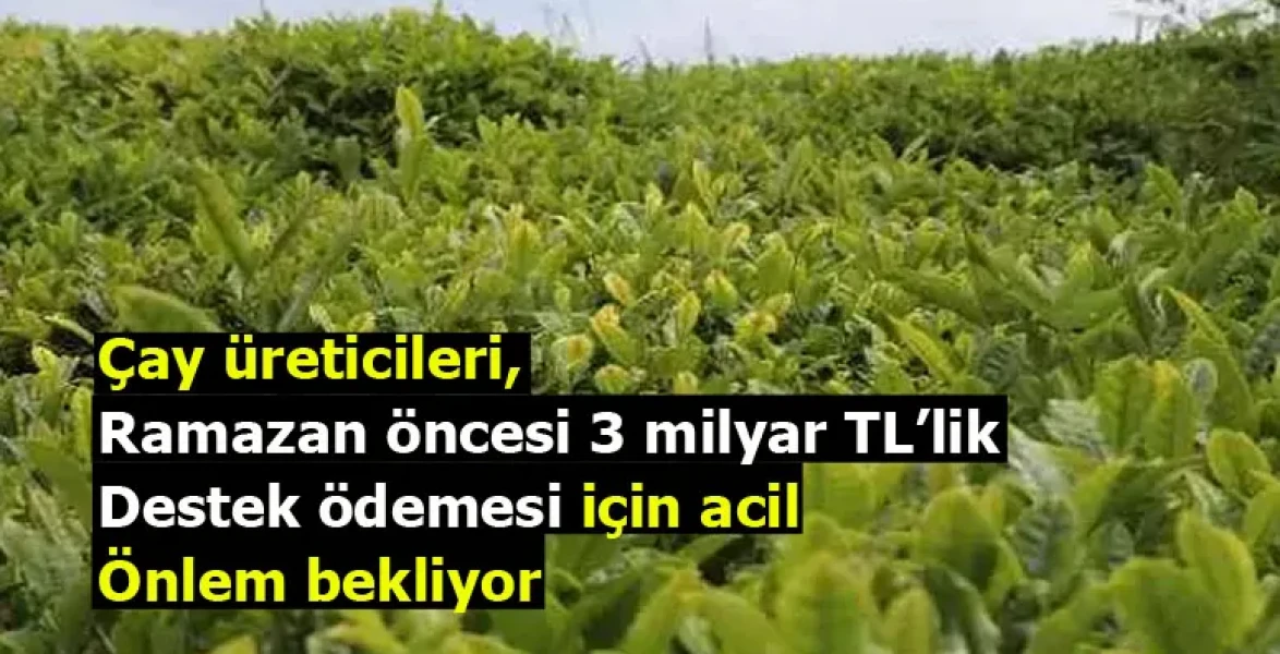 Çay üreticileri, Ramazan öncesi 3 milyar TL’lik destek ödemesi için acil önlem bekliyor