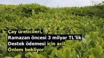 Çay üreticileri, Ramazan öncesi 3 milyar TL’lik destek ödemesi için acil önlem bekliyor