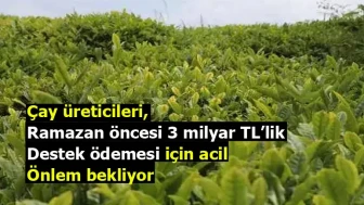 Çay üreticileri, Ramazan öncesi 3 milyar TL’lik destek ödemesi için acil önlem bekliyor