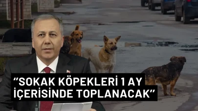 İçişleri Bakanı Yerlikaya: ‘’Tüm köpekler 1 ay içerisinde toplanacak’’