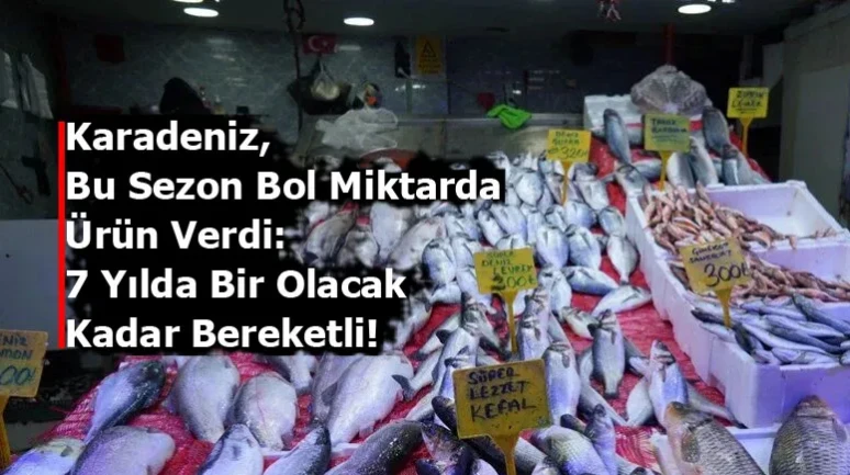 Karadeniz, Bu Sezon Bol Miktarda Ürün Verdi: 7 Yılda Bir Olacak Kadar Bereketli!