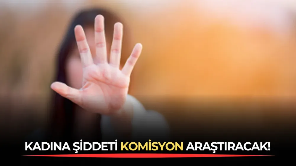 Kadına Şiddeti Komisyon Araştıracak!