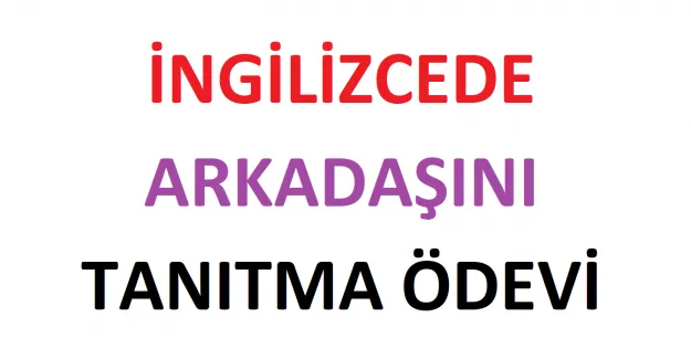 İngilizce Arkadaş Tanıtma – Örnek Ödev Cümleleri