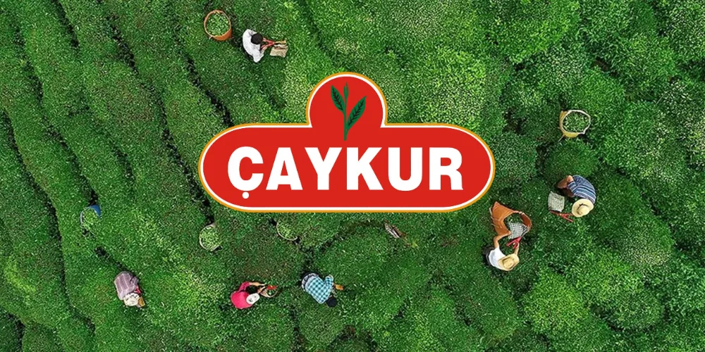 Yaş çay üreticilerine fark ödemesi desteği Resmi Gazete