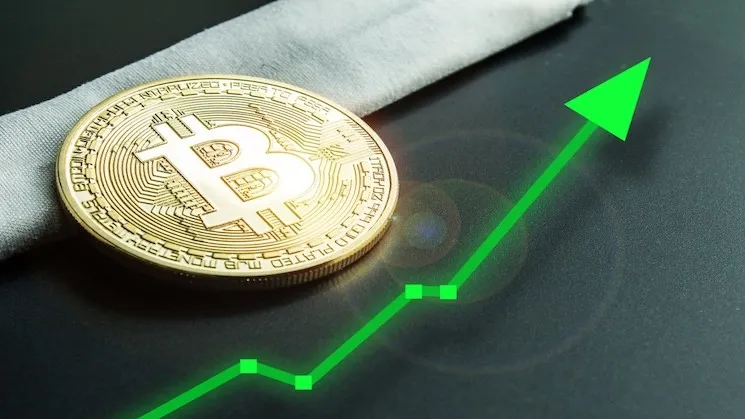 Bitcoin’in Yükseliş Yolu: 2024 Performansı ve 2025 Beklentileri