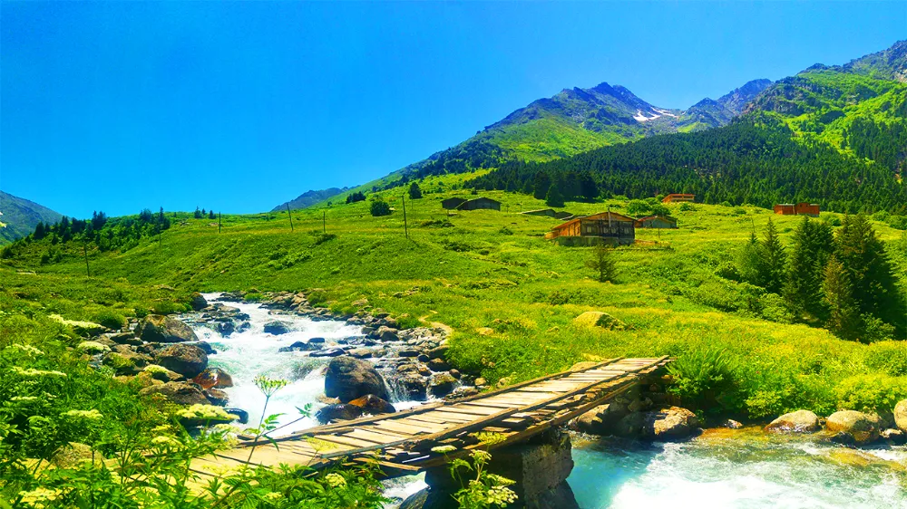 Rize Elevit Yaylası Gezi Rehberi Ziyaret Saatleri ve Ulaşım Bilgileri