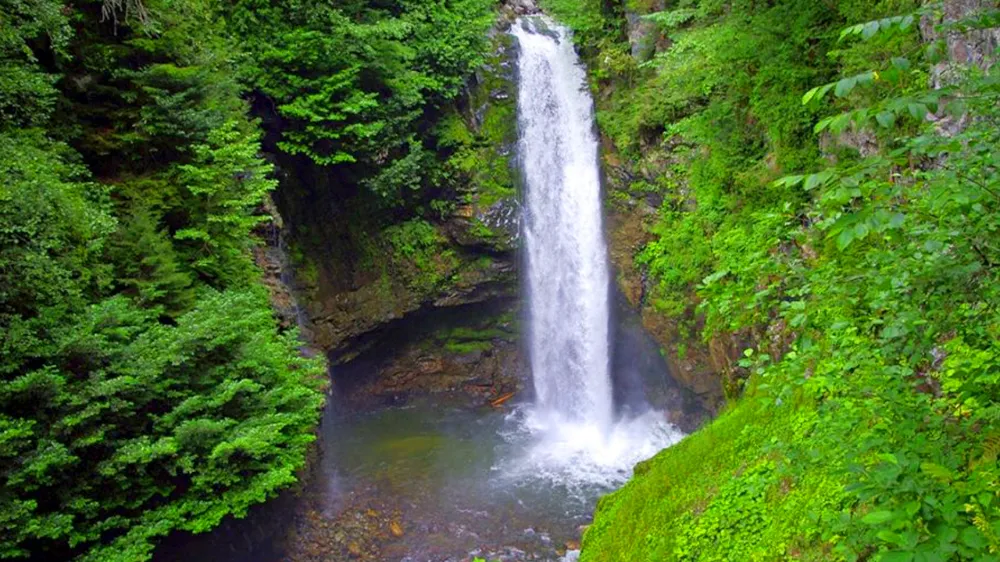 Rize Palovit Şelalesi Gezi Rehberi  Ziyaret Saatleri ve Ulaşım Bilgileri