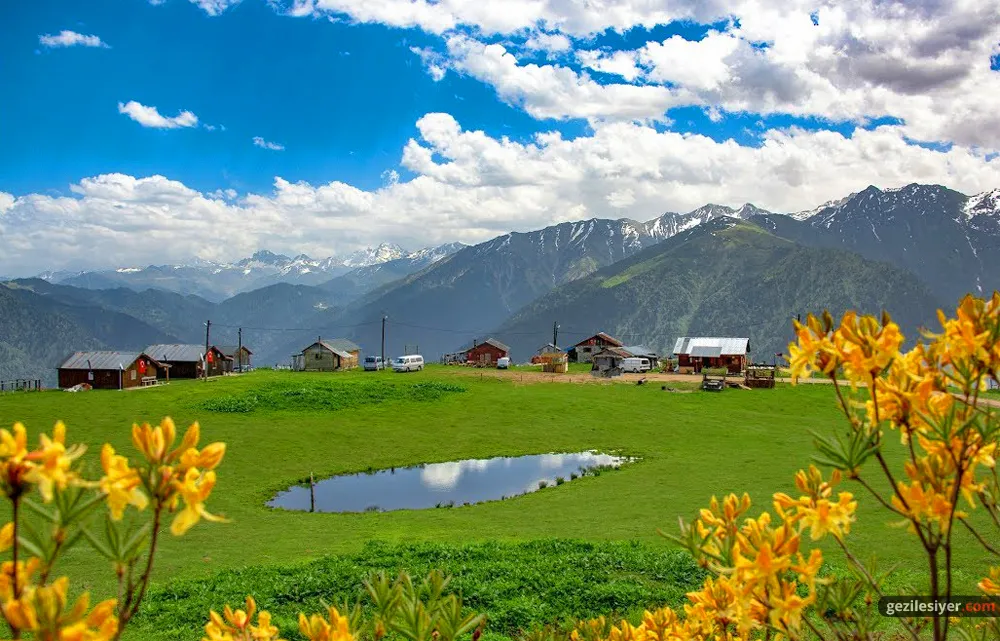 Rize Badara Yaylası Gezi Rehberi Ve Ulaşım Bilgileri