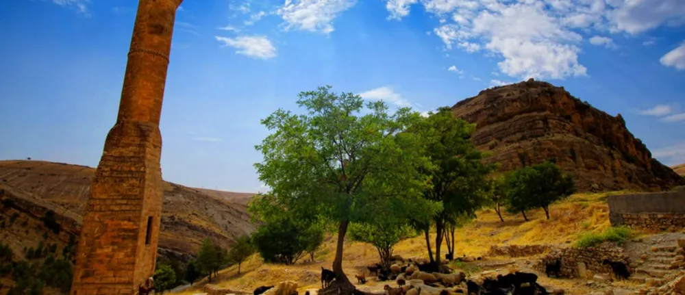 Adıyaman Besni