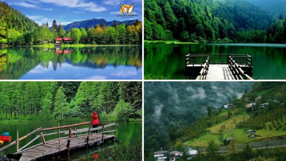 Artvin