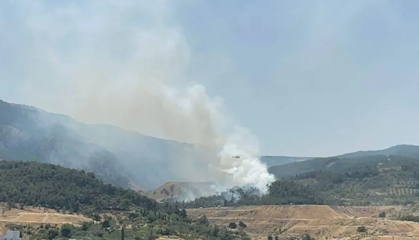 4 ilde orman yangını: İzmir-Manisa yolu trafiğe kapatıldı