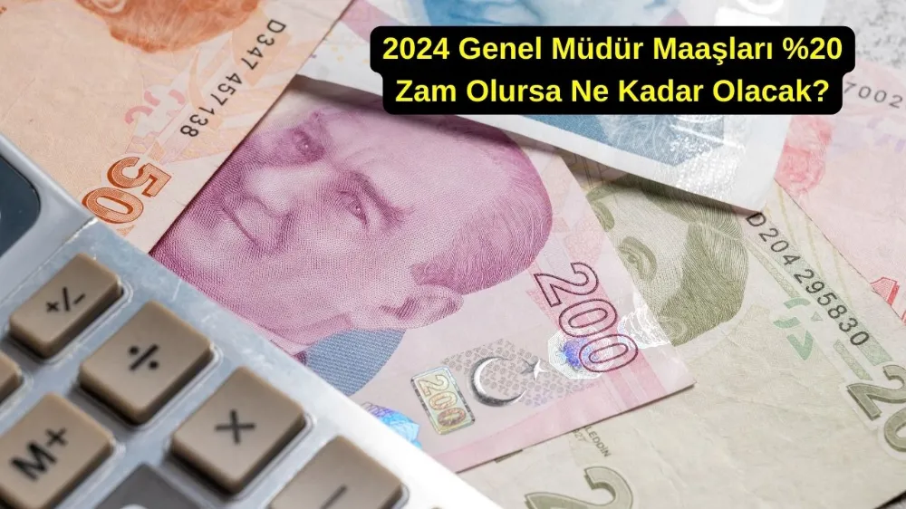 Genel Müdür Maaşları Özel Sektör 2024 – Nedir, Ne İş Yapar?