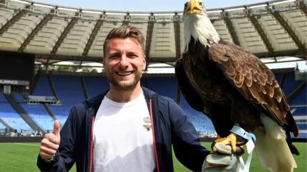 Immobile Beşiktaş