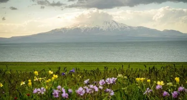 Van Nasıl Bir Şehirdir, Pahalı mıdır, Neleri Meşhurdur ve En Güzel İlçeleri Nelerdir?