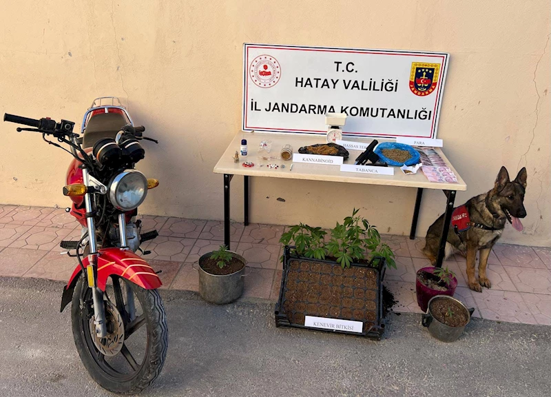 Hatay’da gerçekleştirilen operasyonda uyuşturucu ve silah ele geçirildi 