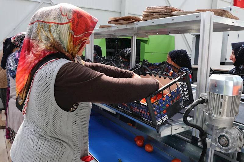 Niğde’nin ürünleri dünyaya açıldı