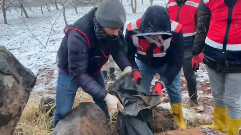 Şanlıurfa’da silah kaçakçılığı operasyonu: 9 gözaltı  