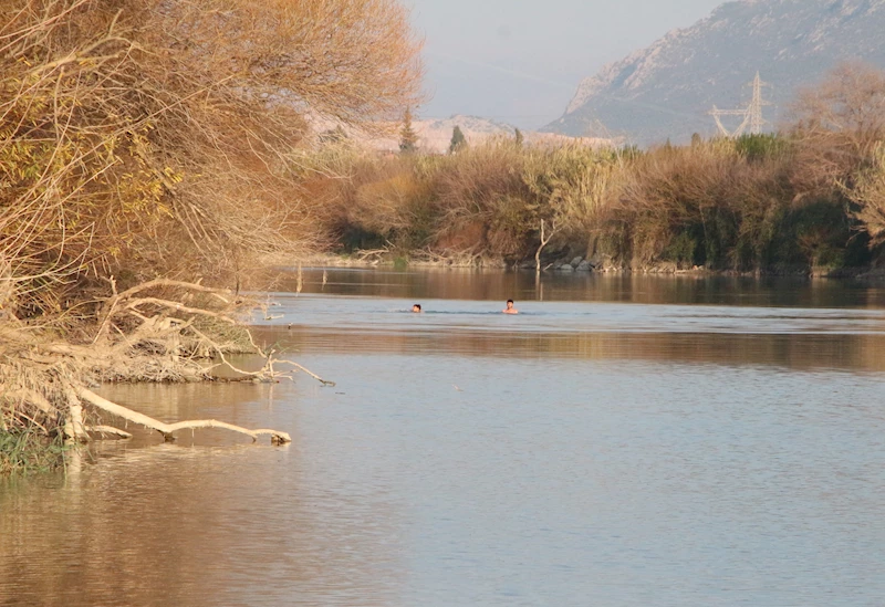 Rengi siyaha dönüp köpüren Ceyhan Nehri’nde balık ölümleri / Ek fotoğraflar