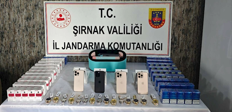 Şırnak’ta, kaçakçılık operasyonlarında 3 tutuklama