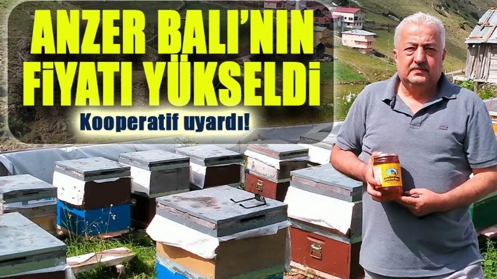 Dünyanın En Pahalı Balı Anzer Balı