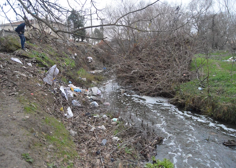   Balıkların öldüğü Saranlı Deresi