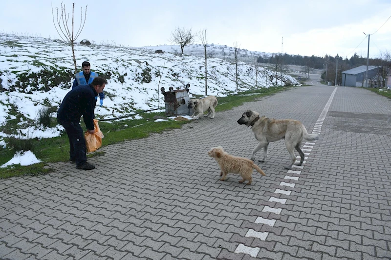 Balıkesir Büyükşehir Belediye Başkanı Akın