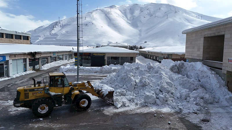 Bitlis