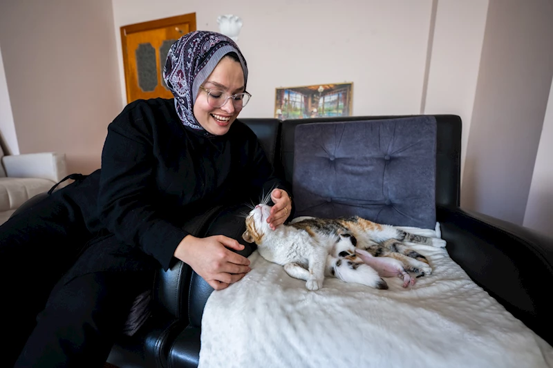 Camiye sığınan anne kedi ve yavruları yeni yuvasında