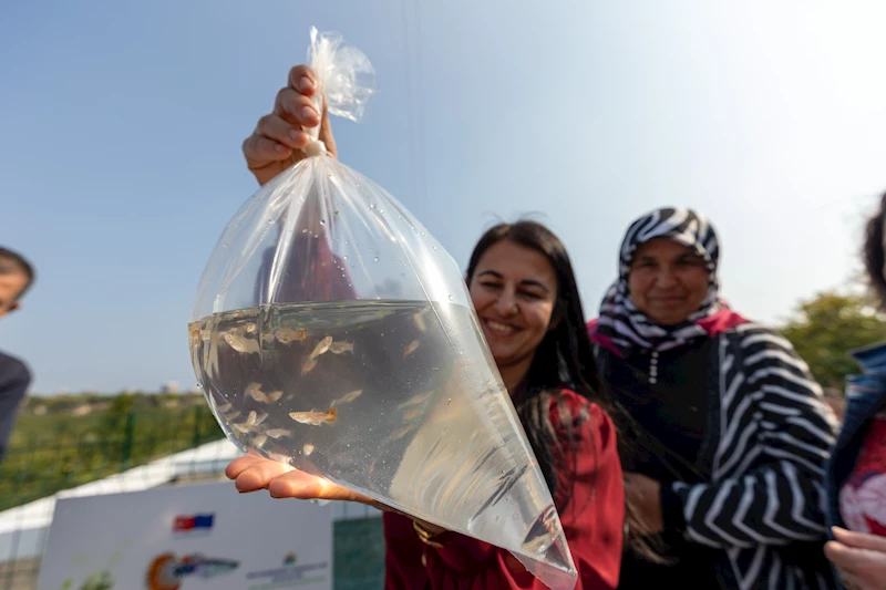 Mersin’de kadın girişimciler haşere mücadelesi için Lepistes balığı yetiştirecek