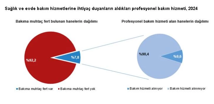 TÜİK: Hanehalklarının yüzde 7,8